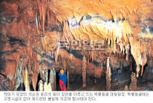 ‘평창 백룡동굴’ 시간이 빚어낸 최고의 예술품