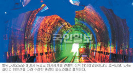 ‘삼척 해양레일바이크’ 해안선 절경에 터널선 빛의쇼