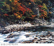 [명품 피서지 경북으로 오이소-봉화] 명품계곡！ 시린 추억 신선이 따로없네