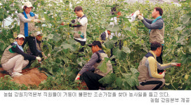 [소년소녀 가장돕기] 사랑의 쌀 나누기 앞장서는 농협 강원지역 본부