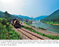 [가족과 함께 우리江을 걷는다] ④ 섬진강 꽃 기차길과 17번국도