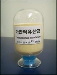 에이엠바이오, 유산균 ‘아만락’ 신기술 인증