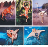 아빠, 서울과학관 놀러가요… 상설전시관 2층  해부 표본 ‘동물 신비전’ 눈길