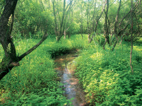 고창 운곡습지 보호지역 지정
