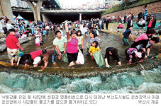 온천천 ‘부산의 청계천’으로 탈바꿈