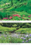 “풀·꽃·나무 그들과 머물고 싶어라”… 초여름과 잘 어울리는 수목원·식물원