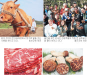 횡성·울진으로 떠나는 미식여행… 초가을 한우·송이 등 먹거리 축제 풍성