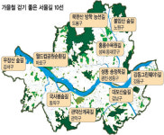 가을 산책 어때요~ 걷기 좋은 서울길 베스트 10