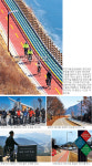 [두 바퀴로 달리는 국토여행] 산들바람 맞으며 씽씽 봄물 오르는 자연이 벗이다… 국토종주자전거길 702㎞