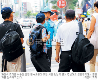 금연구역 과태료 부과 서울지역 돌아보니… 한밤 공원서 버젓이 술판 벌이며 줄담배