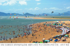 [즐거운 夏！夏！夏！-부산 다대포해수욕장] 우아하게 요트 타고 아이들과 생태체험
