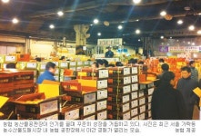 농협 농산물공판장 창립 51년만에 연간 매출 3조5000억 돌파