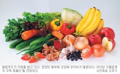 웰빙 넘어 몸과 마음까지 치유… 힐링푸드가 뜬다