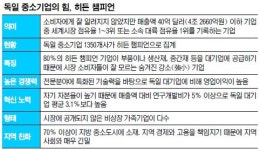 [독일을 넘어 미래한국으로 (2부)] 中企 ‘히든 챔피언’ 1350개… 한국의 60배 넘어