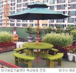 2017년엔 대구시민 25만명 도시농부