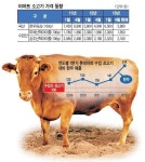 왕서방 소비 덕?… 한우 매출 늘고 수입 쇠고기값 올랐다
