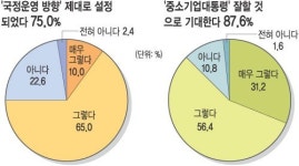 취임 100일 박근혜 정부… 대기업 “전방위 압박” 中企 “정책 잘 반영”