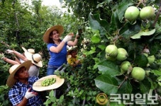 맛있는 영주사과 올 가을에 만나요~