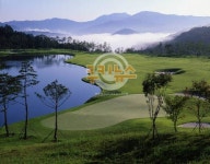 골프장은 이제 그만~ 골프도시 용인에 30번째 골프장 무산