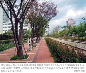 폐철도 부지 숲길로 탈바꿈  창원시 ‘임항선 그린웨이’ 조성사업 마쳐… 5.5㎞ 구간 산책로 등 설치