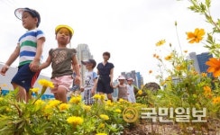 꽃길로 탈바꿈한 경의선 철길