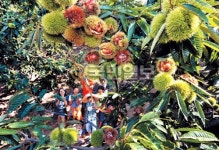 토실토실… 익어가는 가을