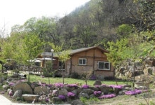 자연 치유의 집 ‘사니조아’ 각광