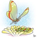 사단법인 겨자씨 선교회 | [겨자씨] 회심·변화·도전