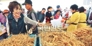 “어느 걸 살까?” 파주·개성 인삼축제