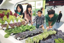 “스마트팜 채소가 신선해 보이네”