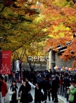 ‘정동문화축제’ 한창인 정동길
