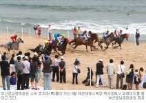 부산 말(馬) 이색 해맞이 축제