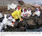 [원유 유출 여수 신덕마을 방제작업 체험 르포] 들러붙은 기름 닦고 또 닦아도…