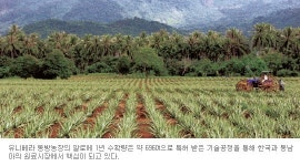 유니베라 하이난 동방농장 가보니… 유네스코 지정 청정지역, 최상의 토양서 알로에 큰다