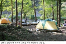 국립자연휴양림 사용료 인상… 야영장은 동결