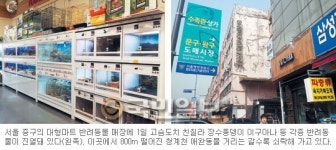[기획] 반려동물 1000만 마리 시대… 애완동물 골목 상권은 몰락 위기
