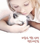 얼짱 반려동물 모여라~ 착한 강아지분양 직거래사이트 펫소개닷컴