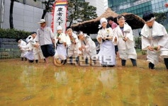 초등생도 “농자천하지대본(農者天下之大本)”