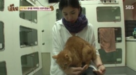 거식증 고양이도 움직인 ‘따뜻한’ 배다해…동물농장 가슴뭉클한 사연