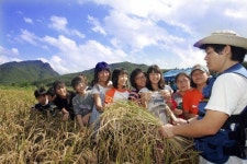 농촌체험마을 등급 확인하고 선택하세요… 2017년부터 관광등급제 전면 실시