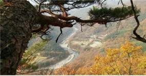 가평산속요양병원 27일, 암 극복 체험이야기 행사