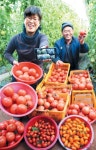 [포토] 겨울 농한기 사라진 ‘창조마을’