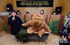 ‘프리 오랑(Free Orang) 프로젝트’