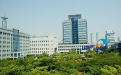 마음은 이팔청춘… 울산 북구노인복지관 ‘실버 태권도’ 인기