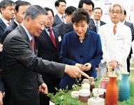 [창조경제 여는 기업들-LG] ‘뷰티·바이오·친환경’ 中企 집중 지원