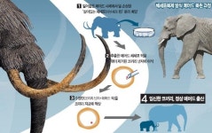 희대의 ‘매머드 소송戰’