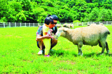 파란 바람이 하얀 풍차·초록 융단을 스칠 때… ‘대관령 하늘목장’ 생태 트레킹