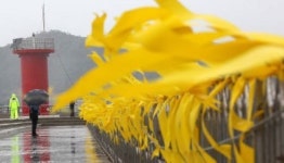 세월호 유가족 팽목항 추모 리본·현수막 철거