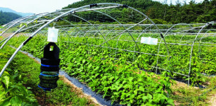 [살기 좋은 명품마을을 가다] (24) 전남 화순군 춘양면 개천마을