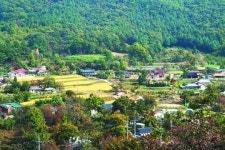[살기 좋은 명품마을을 가다] (28) 대전 유성구 세동 우리밀마을